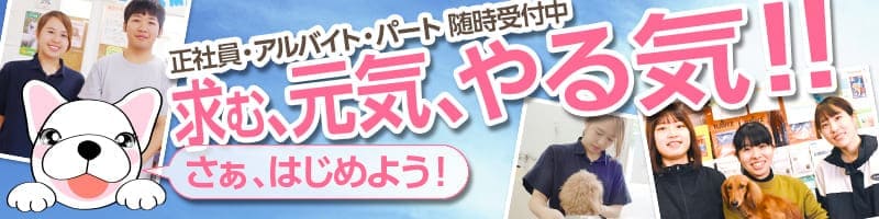 正社員・アルバイト・パート 随時受付中 - 求む、元気、やる気!! さぁ、はじめよう!